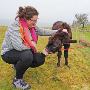 Meet your Posher, Geraldine